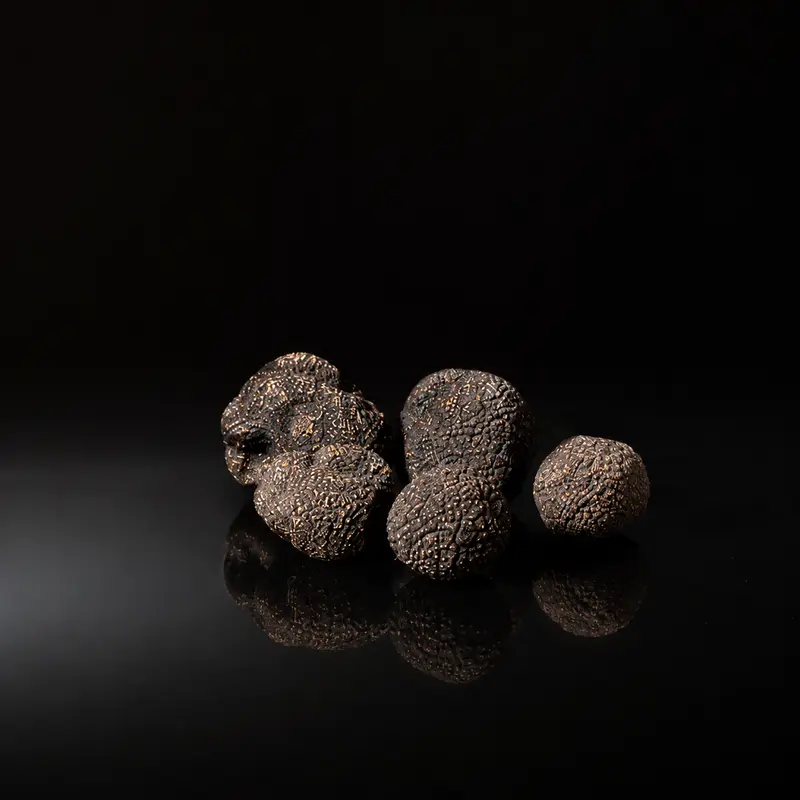 Périgord Trüffel | schwarz | Chile | ab 20 g