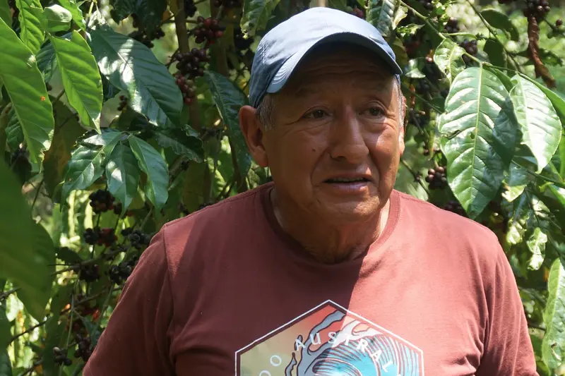 Peru, Ave Fénix, Finca de Marin Ciriaco Gino Sadler, BIO