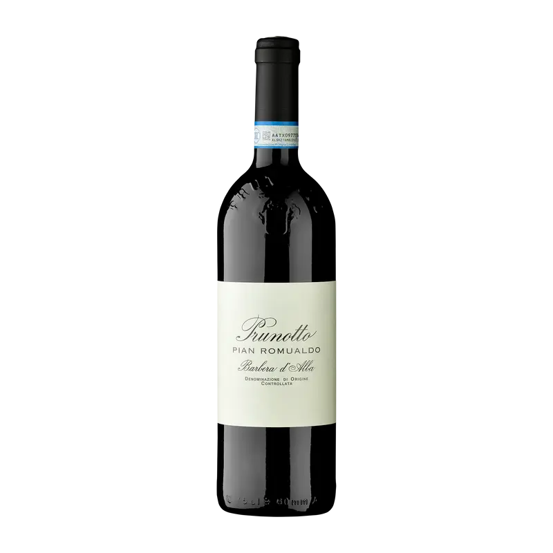 Pian Romualdo Barbera d'Alba 2023 DOC