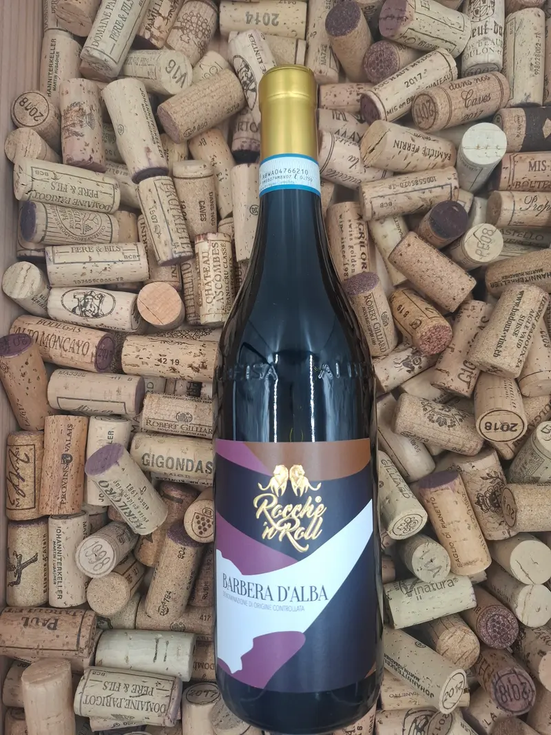 Piémonte | Barbera d'Alba Rocche`n Roll DOC | 2020