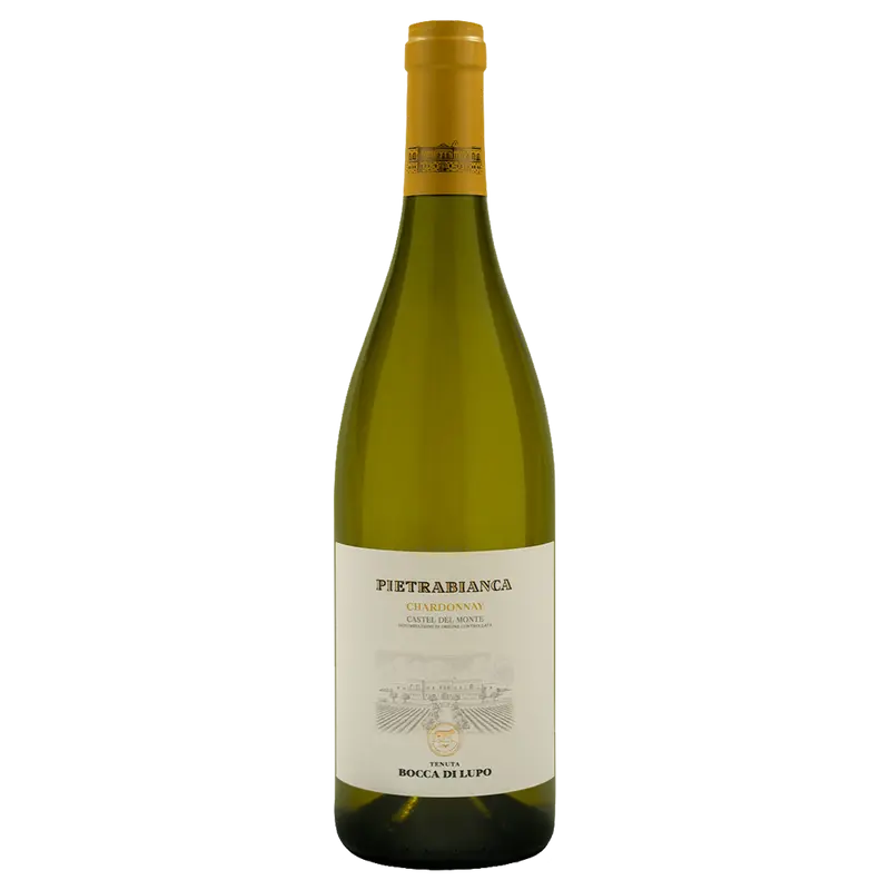 Pietrabianca 2024 Castel del Monte DOC