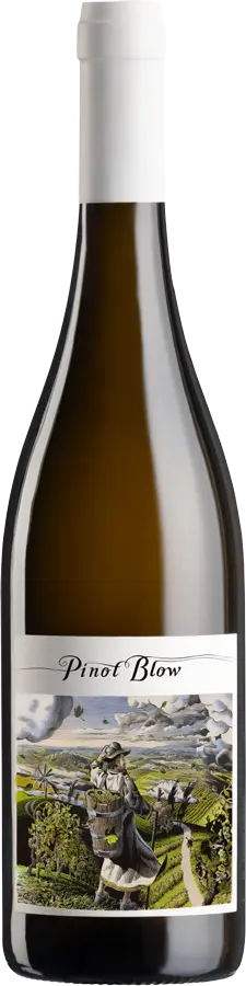 Pinot Blow 2024
