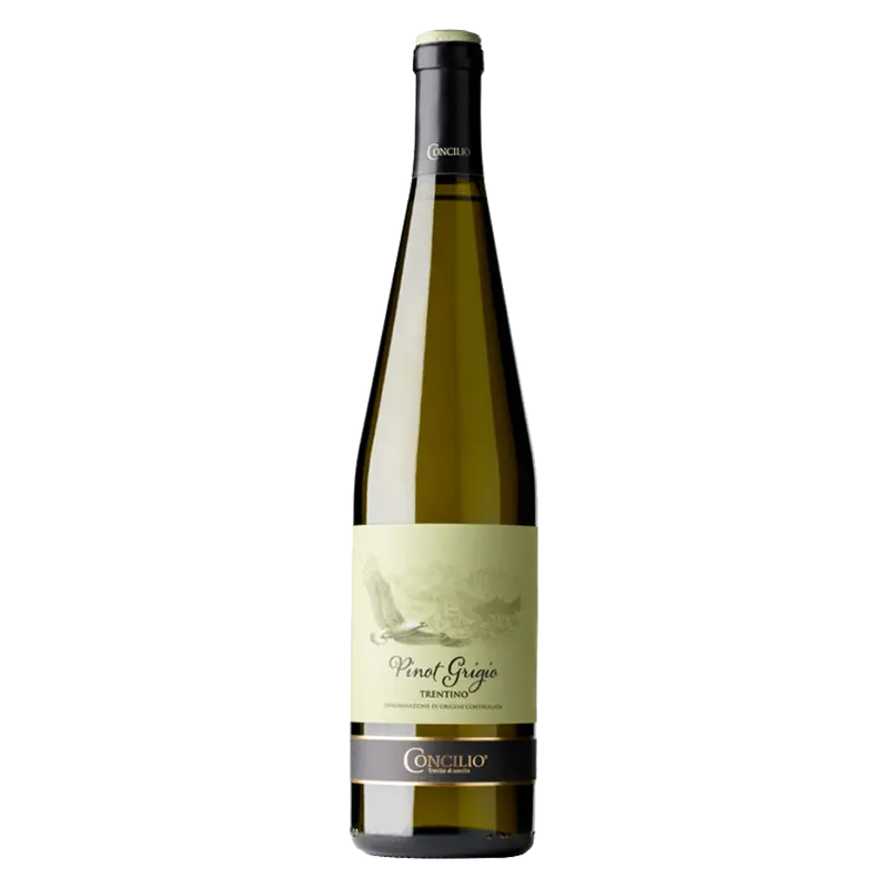 Pinot Grigio 2022 Trentino DOC