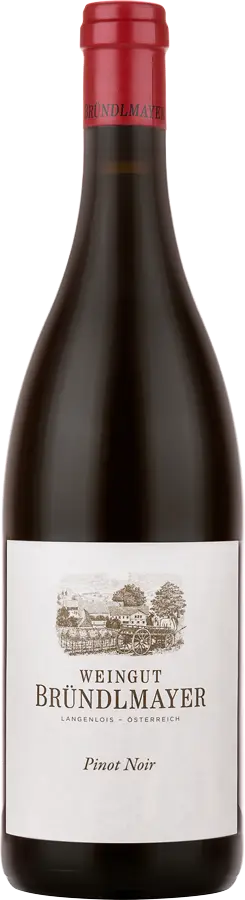 Pinot Noir (Blauburgunder) 2021