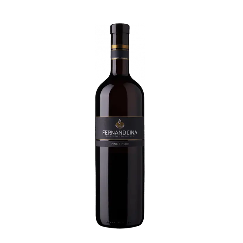 Pinot Noir de Salquenen AOC Valais Fernand Cina SA Salgesch