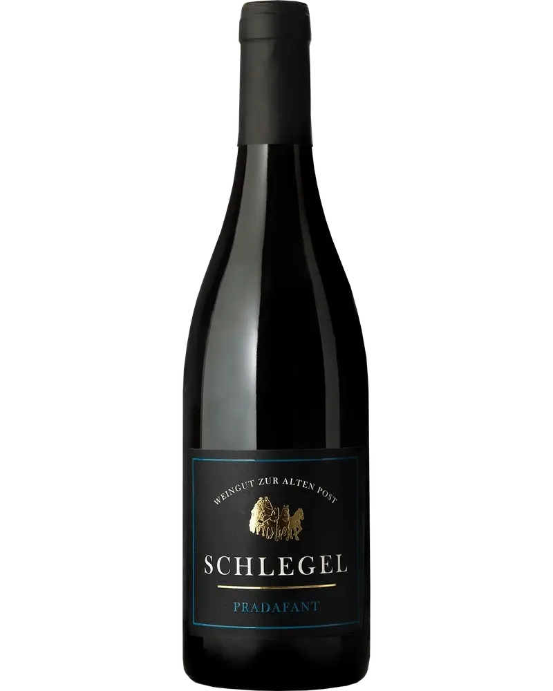 Pinot Noir Pradafant 2022