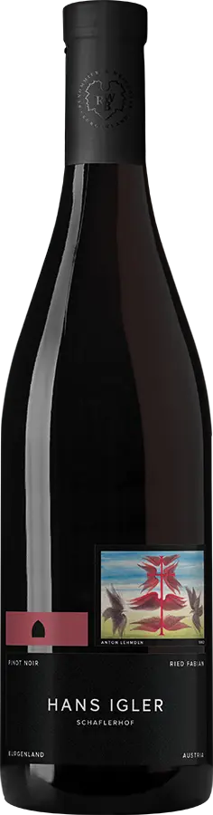 Pinot Noir Ried Fabian 2021