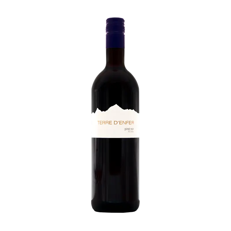 Pinot Noir "Terre d'Enfer" AOC Valais Cordonier & Lamon SA