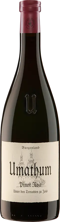 Pinot Noir Unter den Terrassen 2022