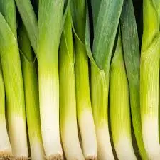 Poireau BIO