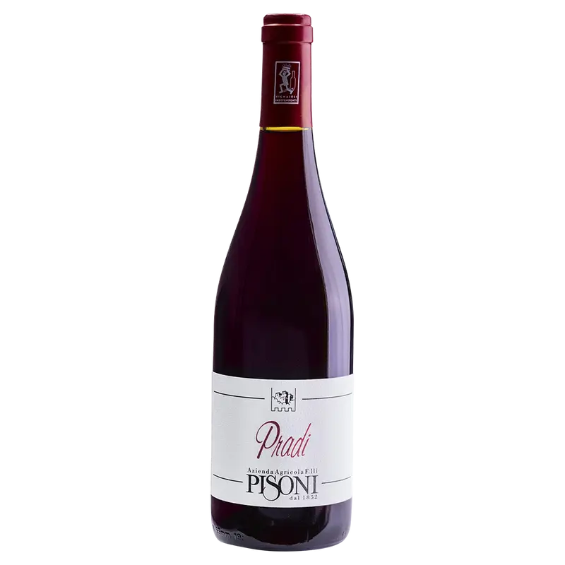 Pradi Teroldego 2023 Weinberg Dolomiten igp