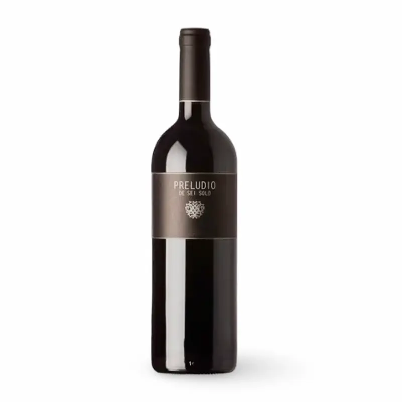 Preludio de Sei Solo 2022 – Ribera del Duero – Bodegas Sei Solo – 75 cl