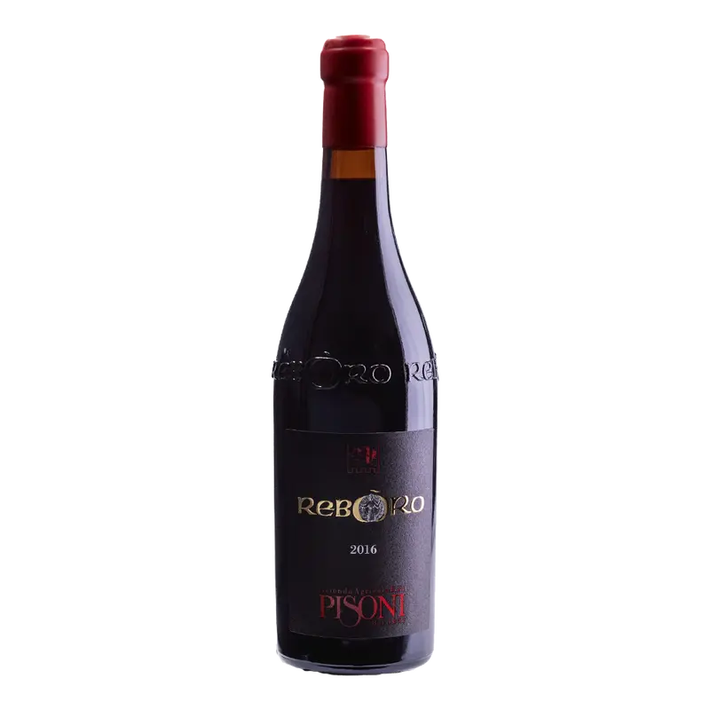Reboro 2021 Weinberg Dolomiten igp