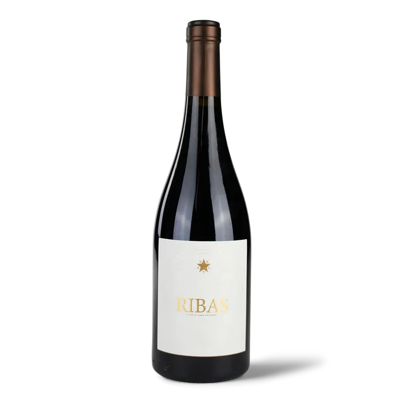 Ribas Negre 2021