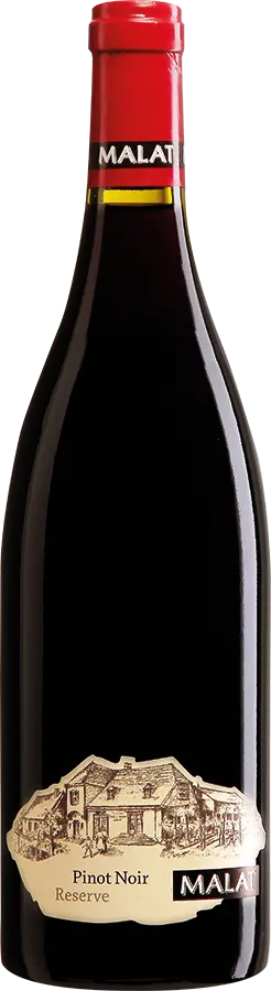 Ried Satzen Pinot Noir 2022