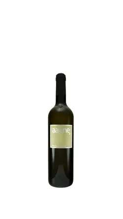 Riesling Silvaner 2024 0.5