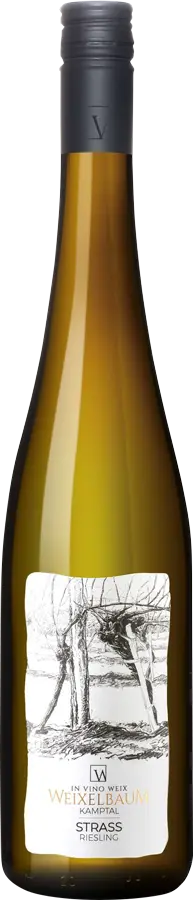 Riesling Strass Kamptal DAC 2024