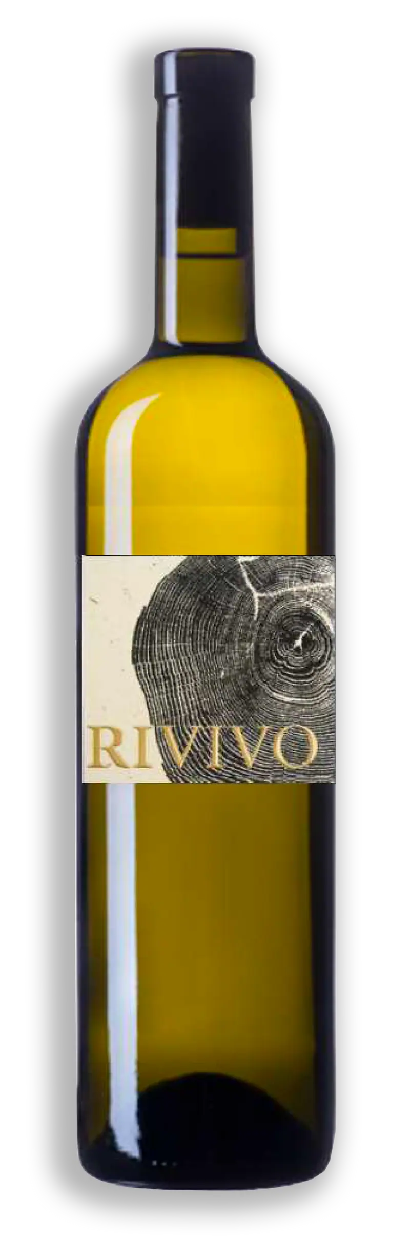 Rivivo bianco, Terre d'autunno