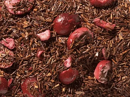 Rotbusch Cranberry Vanille