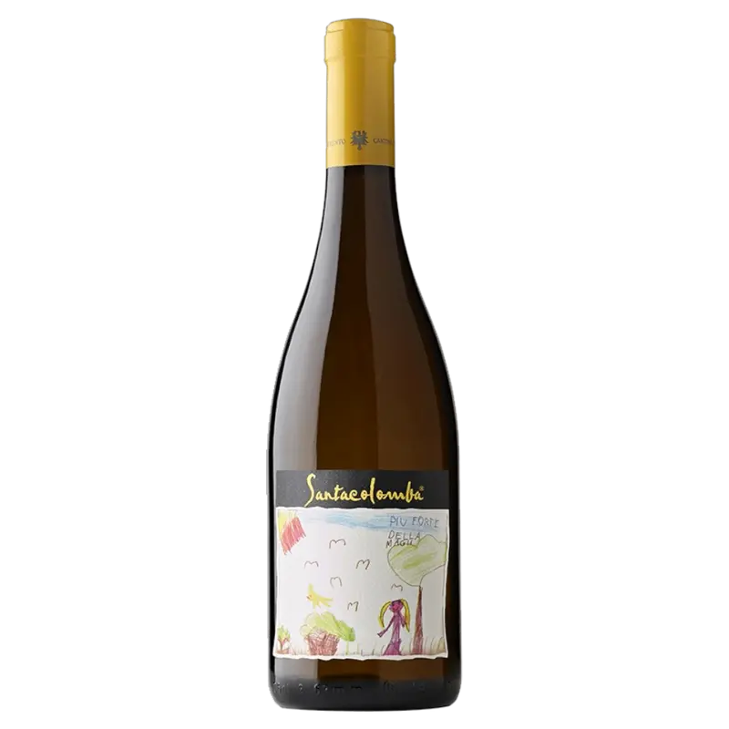 Santacolomba weiss 2020 Weinberg Dolomiten igt