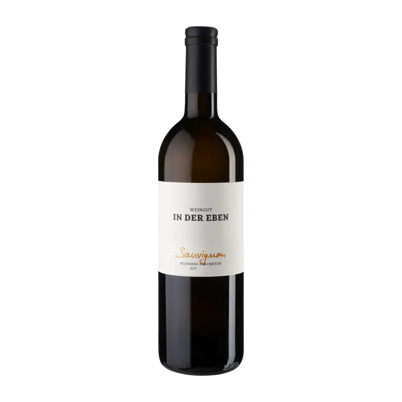 Sauvignon 2022 Weinberg Dolomiten igt