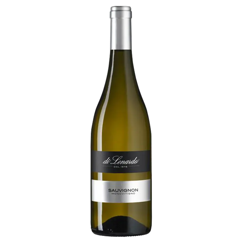 Sauvignon 2024 Venezia Giulia igt