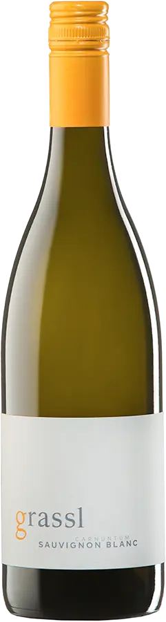 Sauvignon Blanc 2025