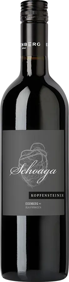 Schoaga Eisenberg DAC 2019