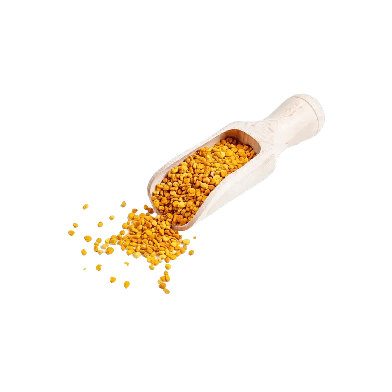 Schweizer Blütenpollen 250g