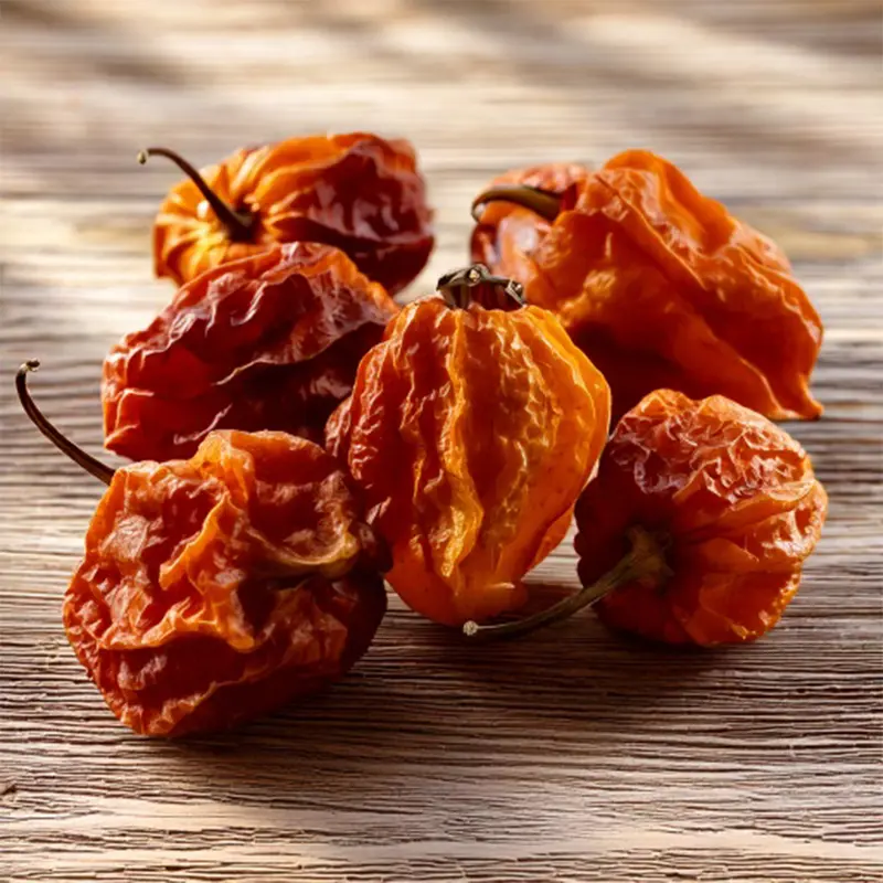 Scotch Bonnet Chili-Schoten | karibisch fruchtig | getrocknet | 25 g
