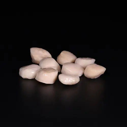 Sea Scallops ("Jakobsmuscheln") extra gross | geschält | roh | Kaliber 10/20 | Beutel à 1kg