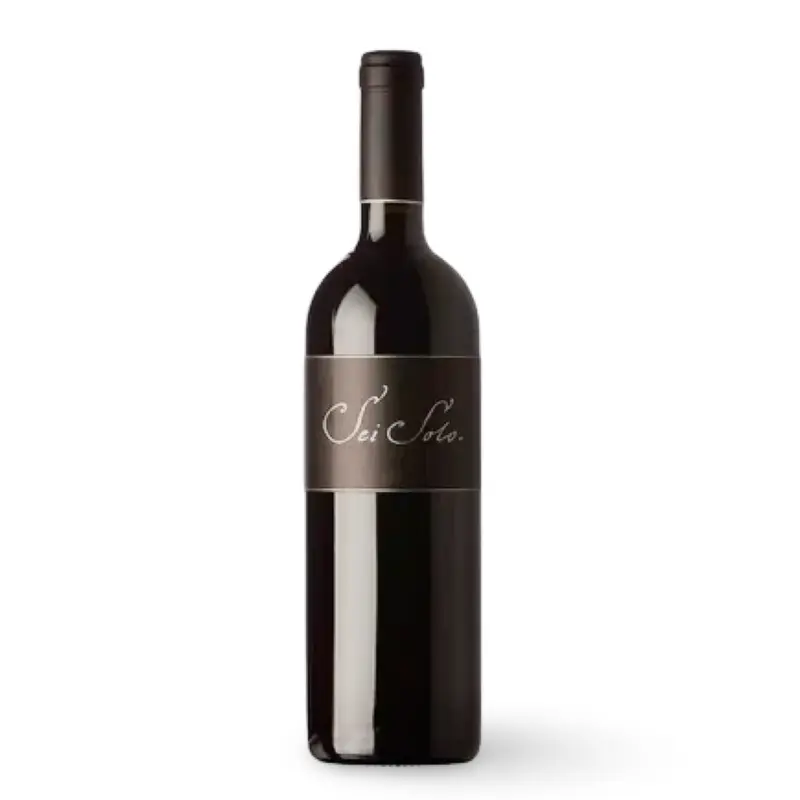 Sei Solo 2021 – Bodegas Sei Solo – Ribera del Duero – 75 cl