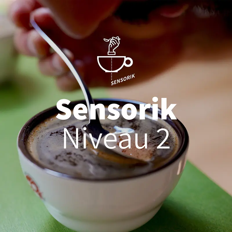 Sensorik Kurs Niveau 2 - Fortgeschritten