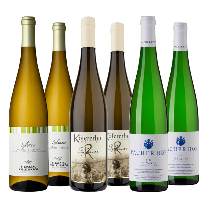 Set Sylvaner