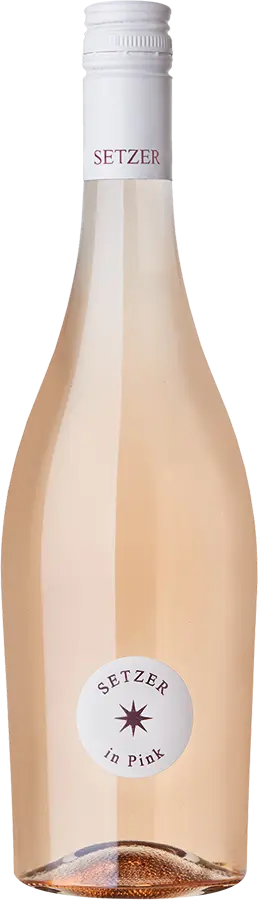 Setzer in Pink 2025
