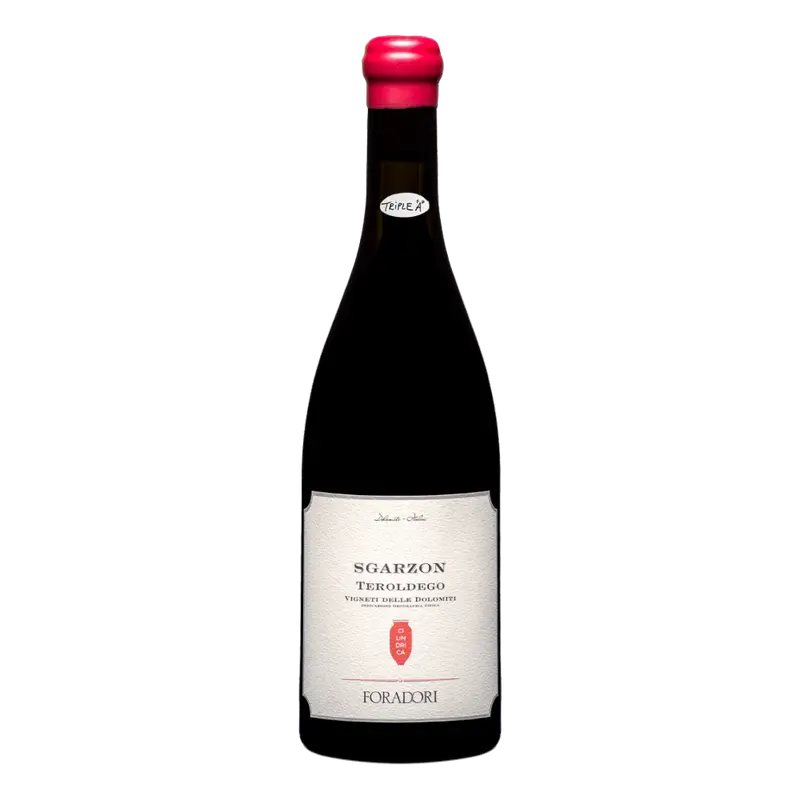 Sgarzon Cilindrica Teroldego 2022 Weinberg Dolomiten igt