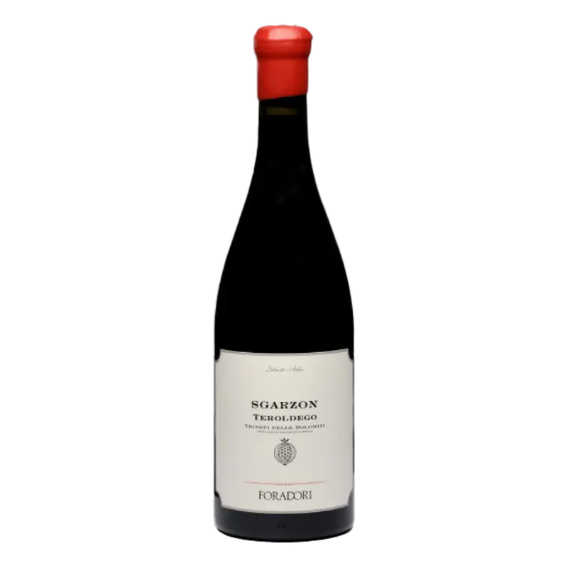 Sgarzon Teroldego 2023 Weinberg Dolomiten igt