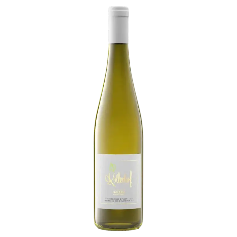 Sisyphos 2024 Weinberg Dolomiten igt