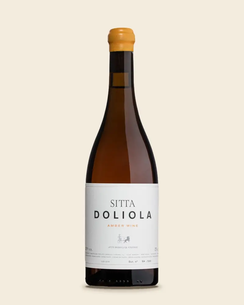 Sitta Doliola (2019)