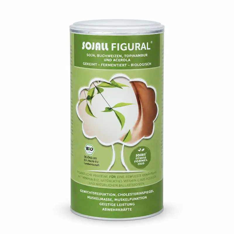 SOJALL Figural