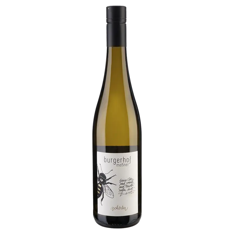 Solaris 2023 Weinberg Dolomiten igt