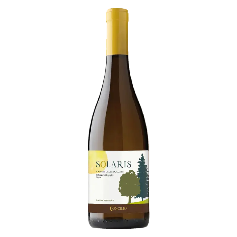 Solaris 2024 Weinberg Dolomiten igt