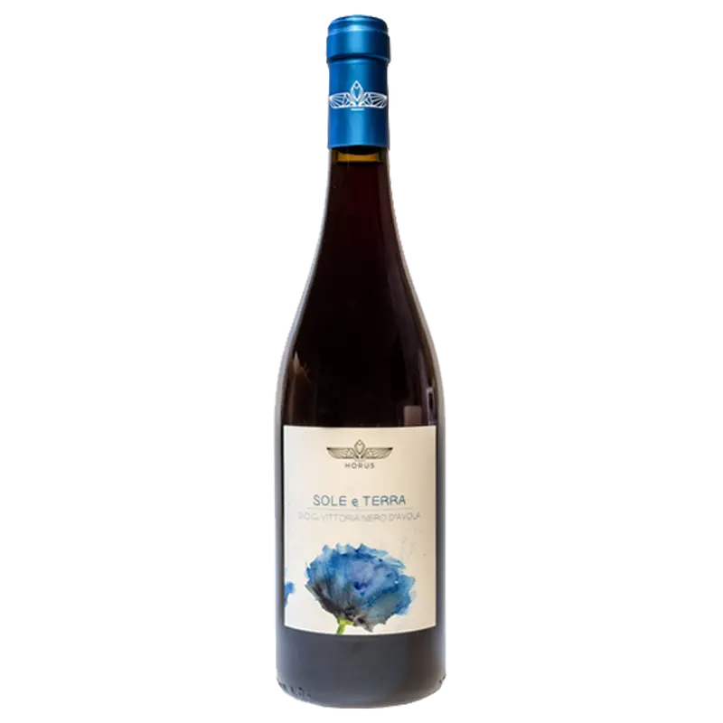 Sole e Terra Nero d'Avola 2020 Sicilia DOC