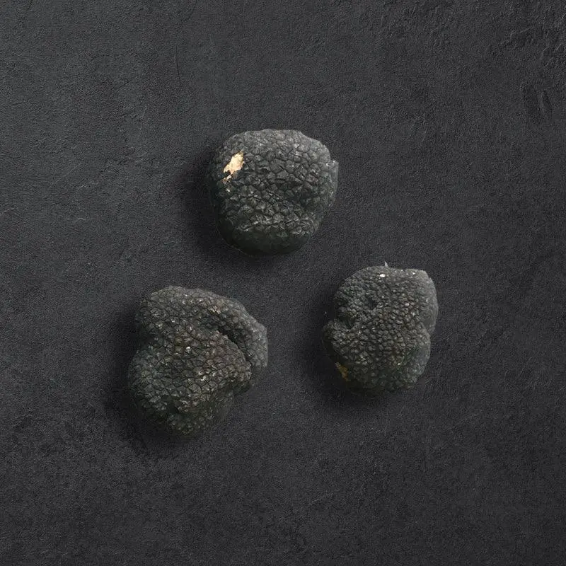Sommer-Trüffel | frisch | IT