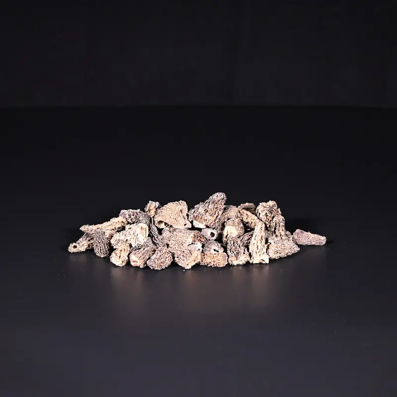 Spitz-Morcheln | getrocknet | Wild | 50 g
