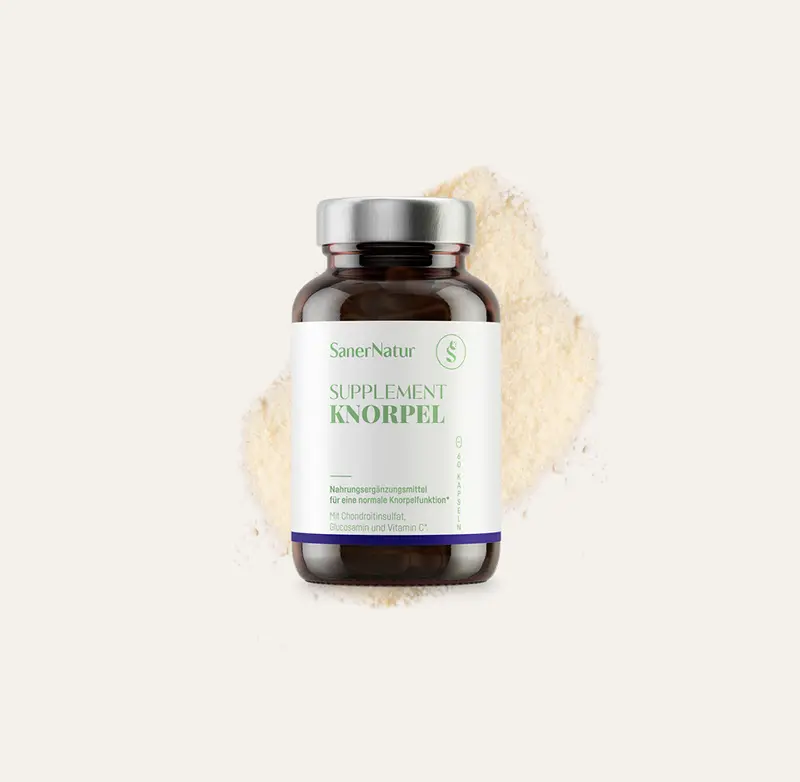 SUPPLEMENT KNORPEL