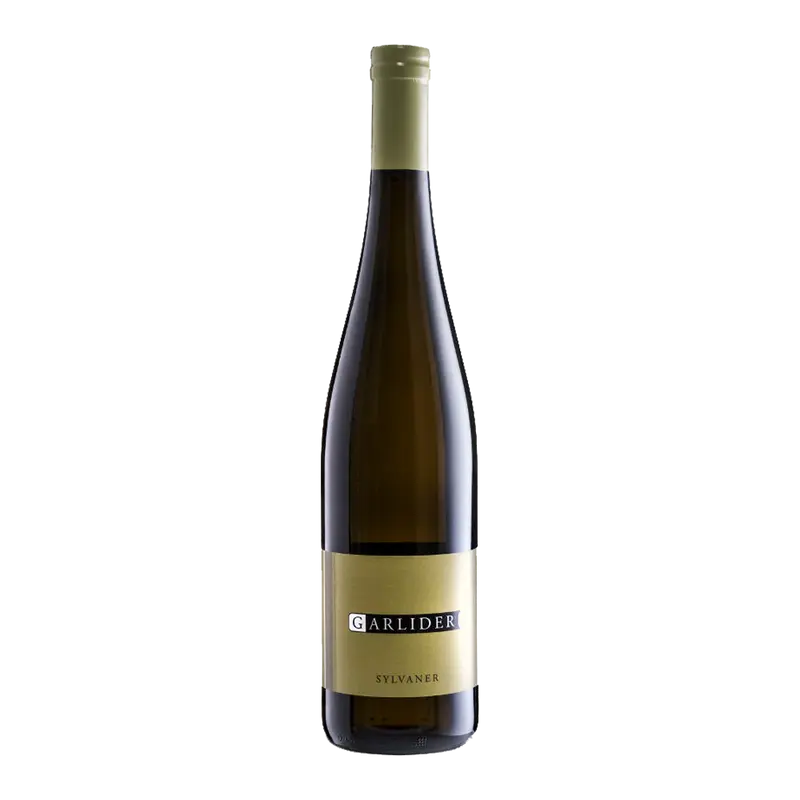Sylvaner 2022 Weinberg Dolomiten igt