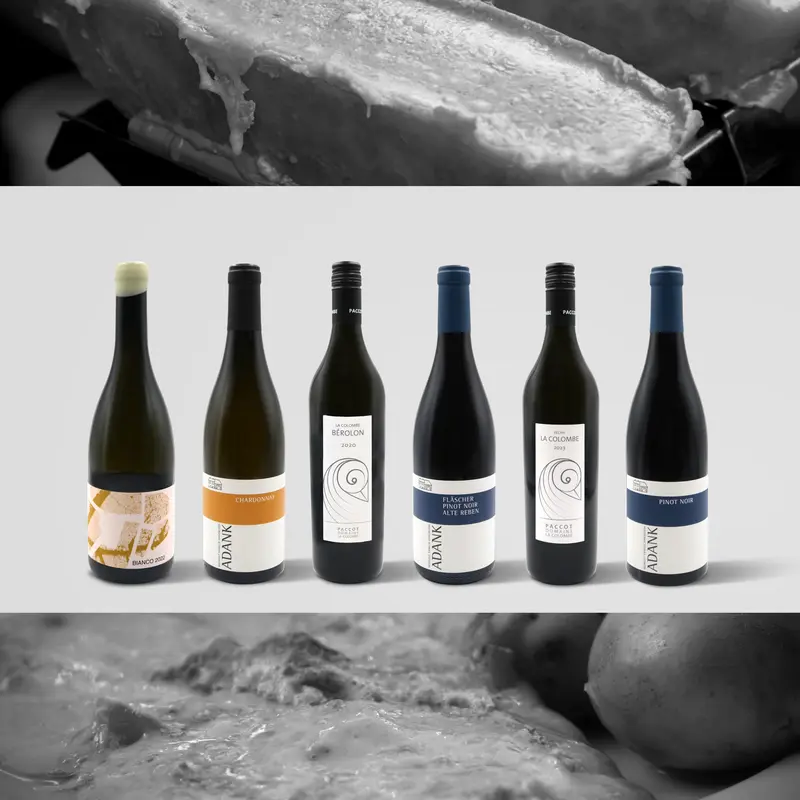 TASTING BOX SCHWEIZER WEINE WEISS UND ROT