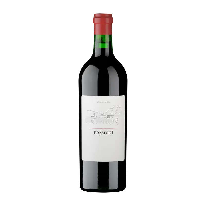 Teroldego Rotaliano 2023 Weinberg Dolomiten igt