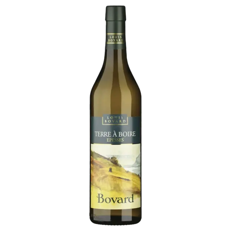 Terre à Boire 2024 Lavaux aoc